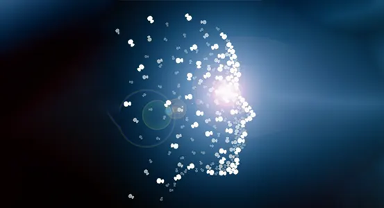 Heritage, Leadership, Collaboration, Sustainability